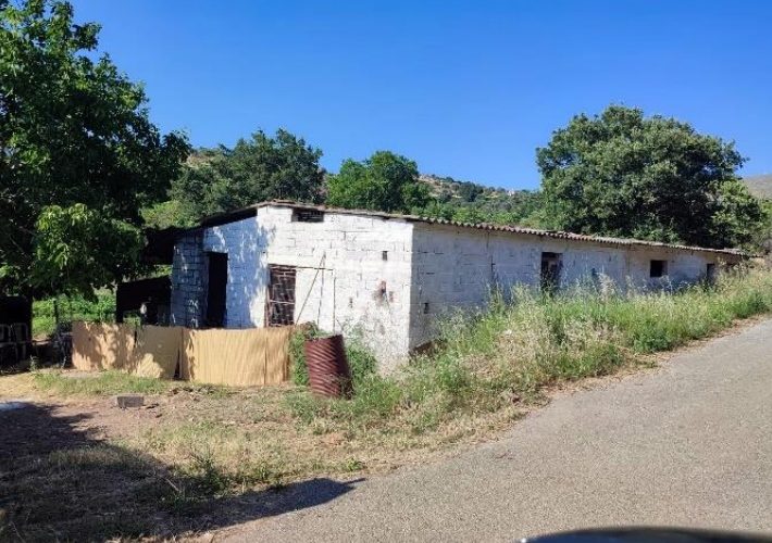 fp
