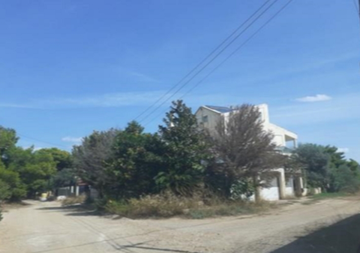 fp
