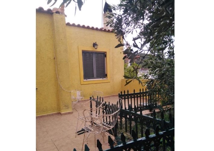 fp