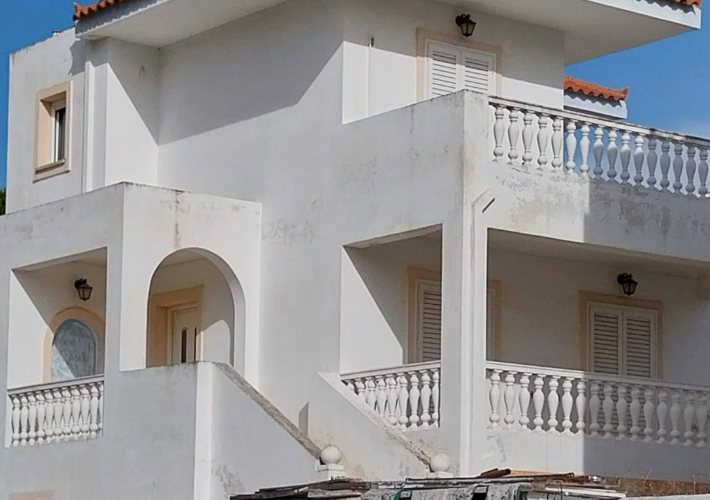 fp