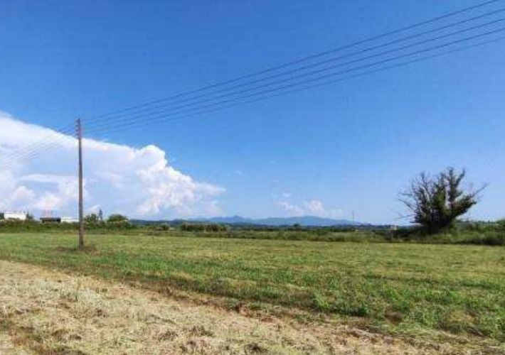 fp